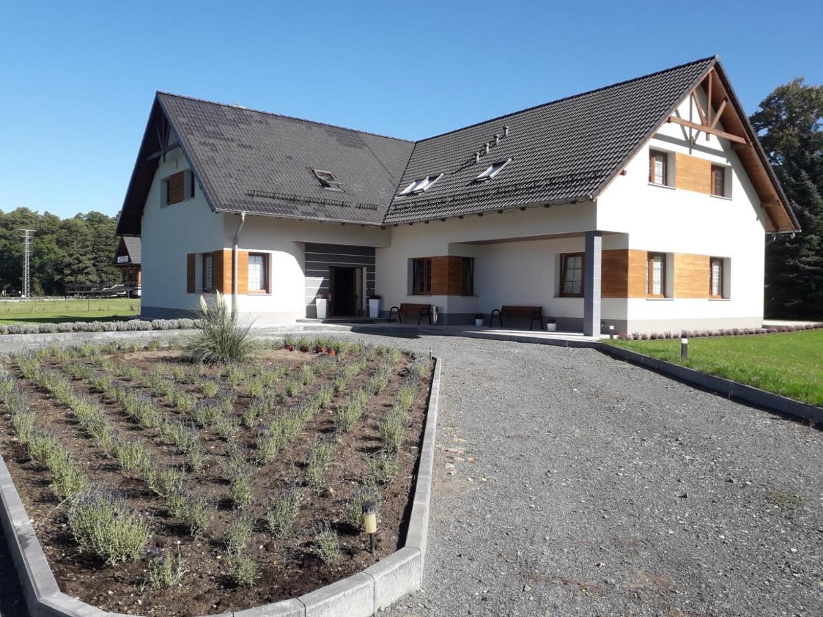Agroturystyka Aura Kostrzyca Dış mekan fotoğraf