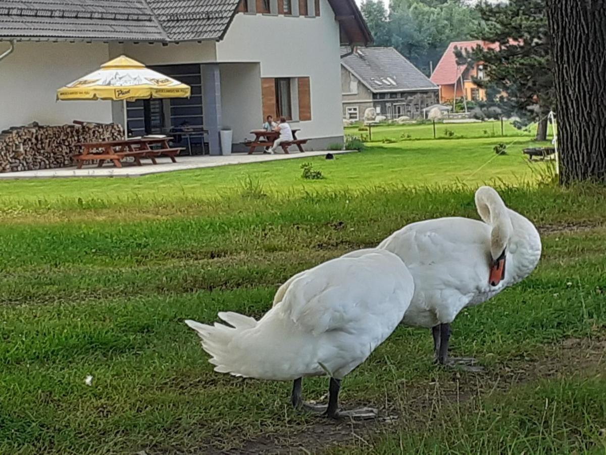 Agroturystyka Aura Kostrzyca Dış mekan fotoğraf