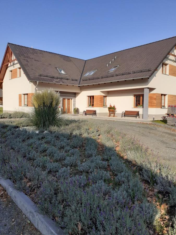 Agroturystyka Aura Kostrzyca Dış mekan fotoğraf