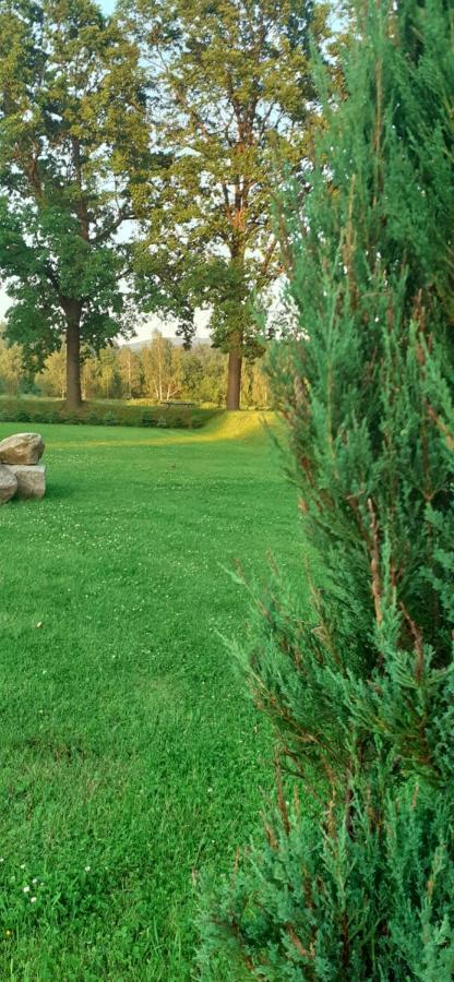 Agroturystyka Aura Kostrzyca Dış mekan fotoğraf