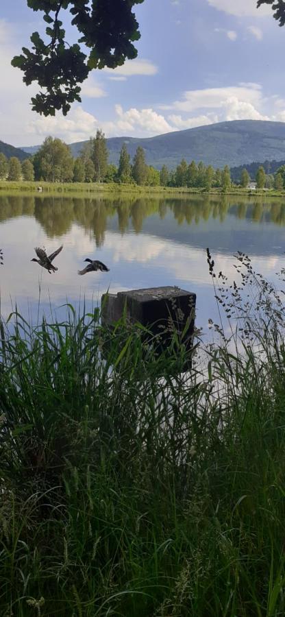 Agroturystyka Aura Kostrzyca Dış mekan fotoğraf