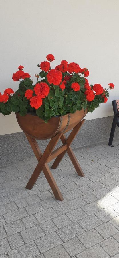 Agroturystyka Aura Kostrzyca Dış mekan fotoğraf